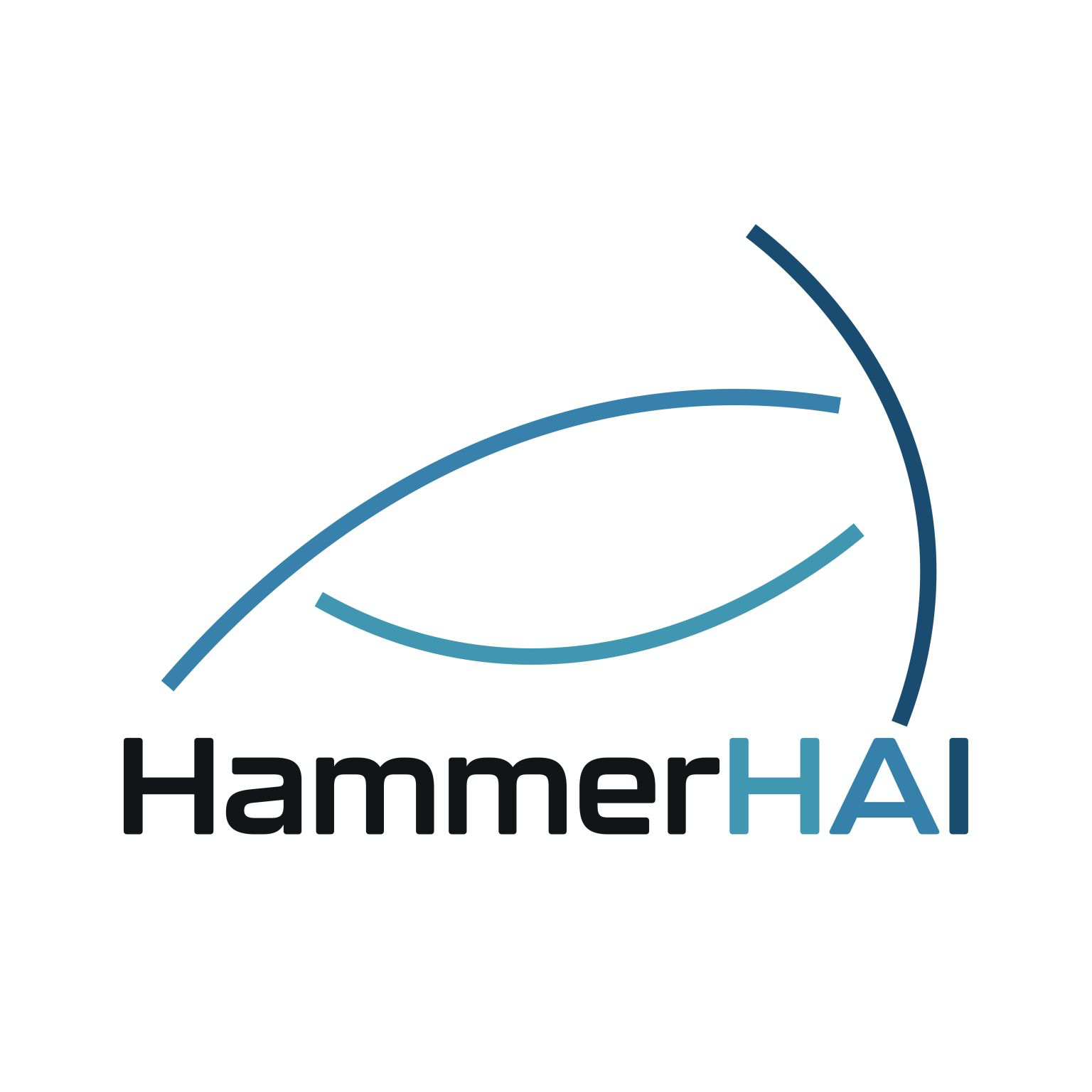 HammerHAI